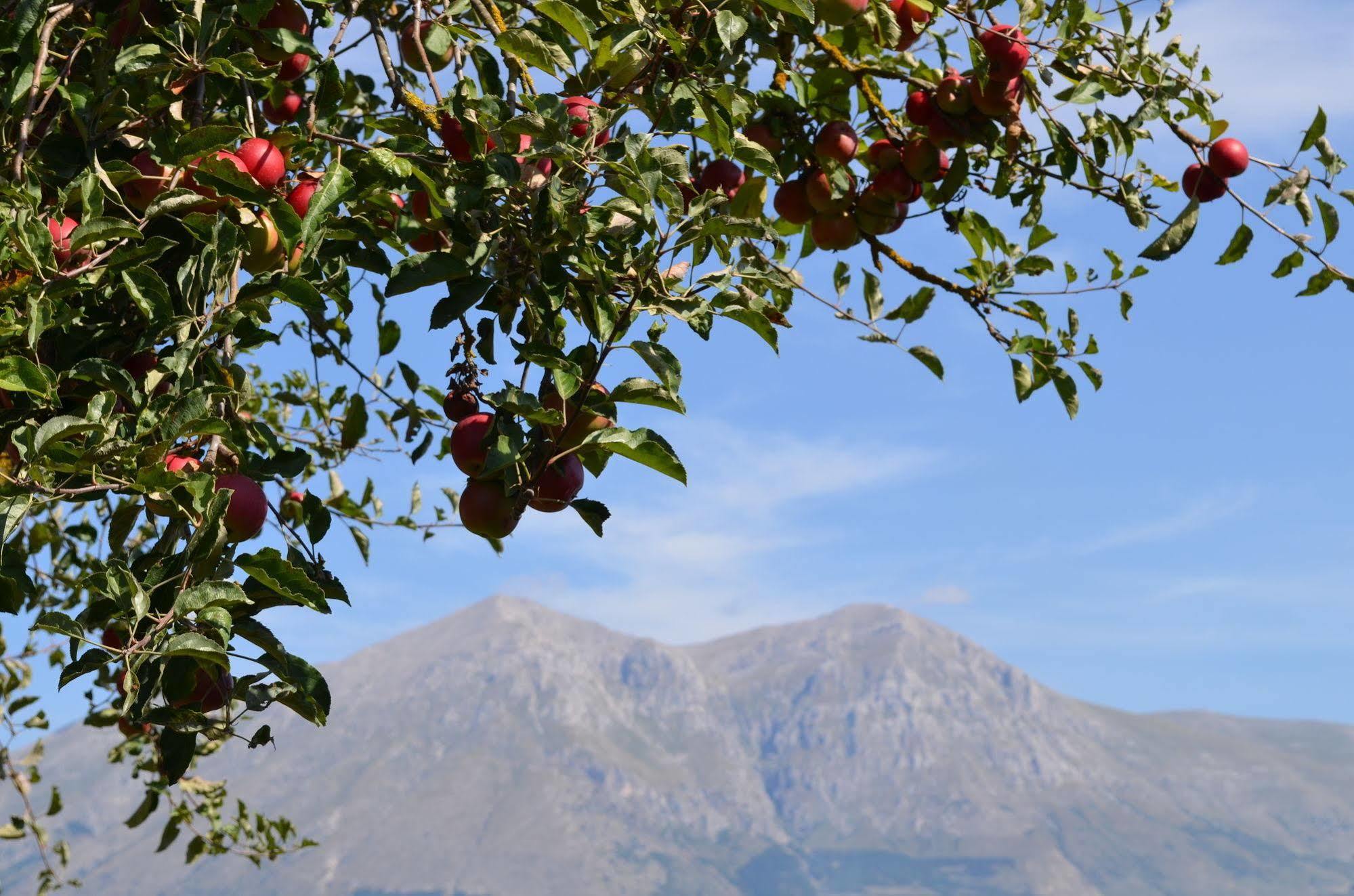 Agriturismo Villa Palentina Scurcola Marsicana Luaran gambar
