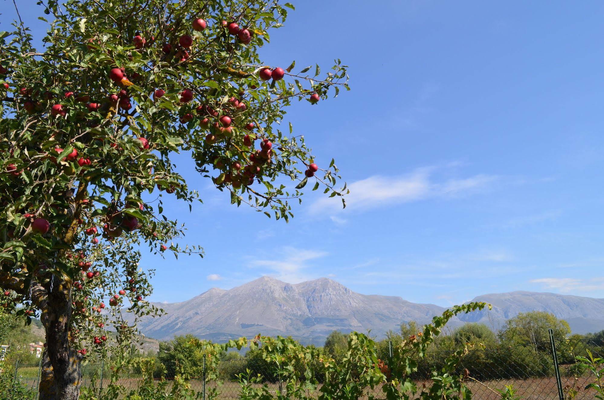 Agriturismo Villa Palentina Scurcola Marsicana Luaran gambar